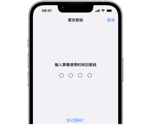 衡阳iPhone屏幕维修分享iPhone屏幕使用时间密码忘记了怎么办 