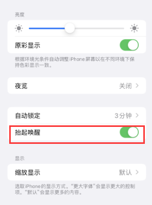 衡阳苹果授权维修站分享iPhone轻点无法唤醒怎么办