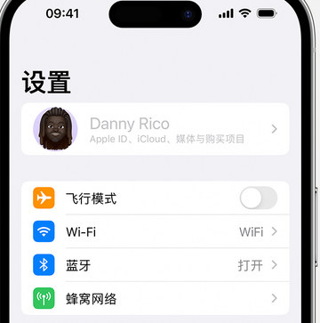 衡阳appleID维修服务iPhone设置中Apple ID显示为灰色无法使用 