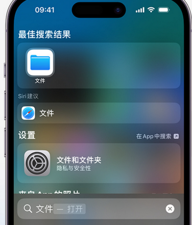 衡阳apple维修中心分享iPhone文件应用中存储和找到下载文件 