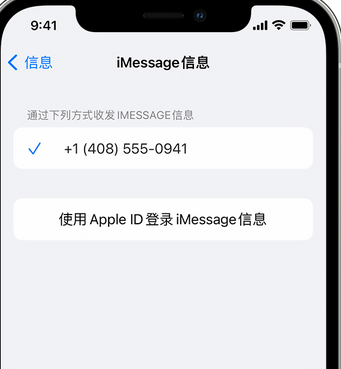 衡阳apple维修iPhone上无法正常发送iMessage信息 