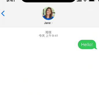 衡阳apple维修iPhone上无法正常发送iMessage信息