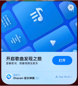 衡阳苹果14维修站分享iPhone14音乐识别功能使用方法 