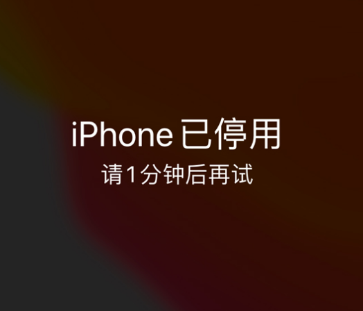 衡阳苹果手机维修分享:iPhone 显示“不可用”或“已停用”怎么办？还能保留数据吗？ 