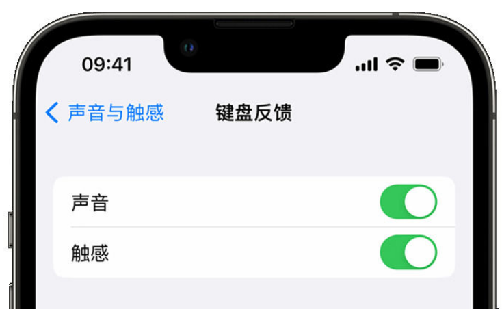 衡阳苹果手机维修分享iPhone 14触感键盘使用方法 