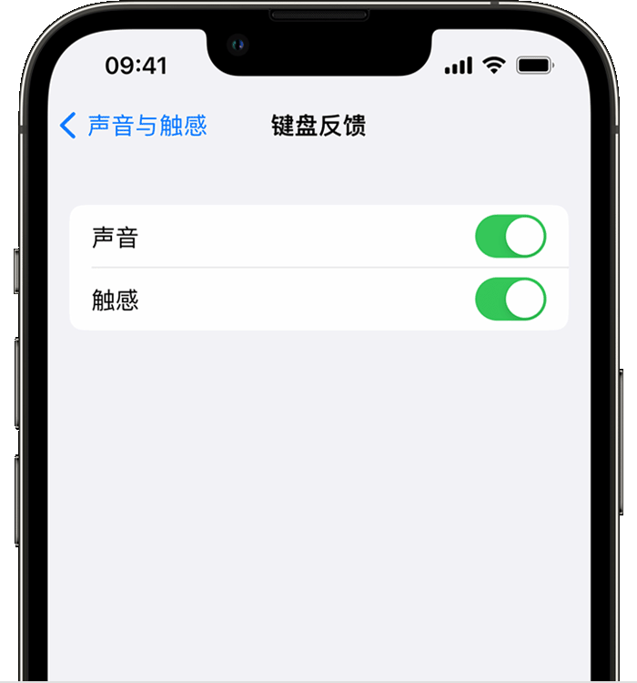 衡阳苹果14维修店分享如何在 iPhone 14 机型中使用触感键盘 