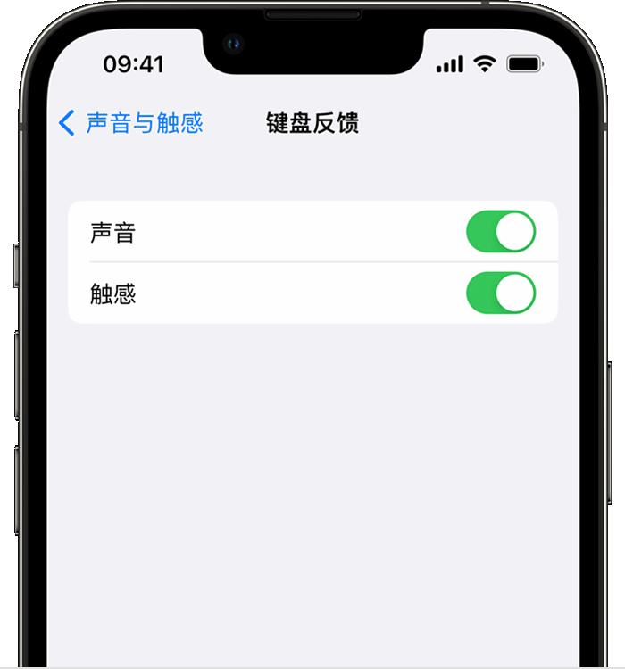 衡阳苹果14维修分享iPhone 14 系列机型如何开启键盘声音或触感反馈 