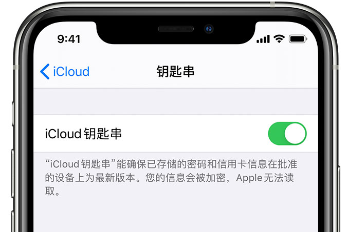 衡阳苹果手机维修分享在 iPhone 上开启 iCloud 钥匙串之后会储存哪些信息 