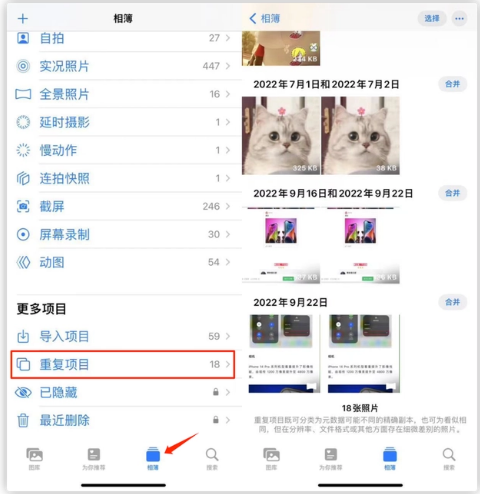 衡阳苹果手机维修分享iOS 16 中相册重复项目功能使用方法 
