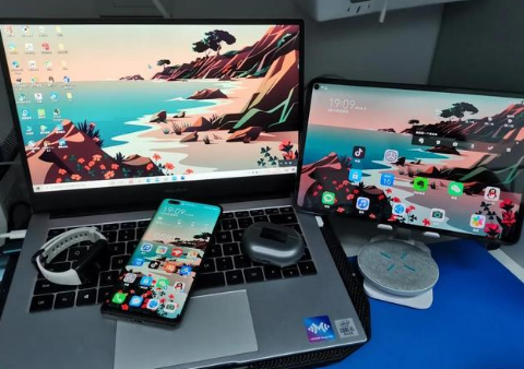 衡阳苹果手机维修分享为什么iPad屏幕更大价格却比iPhone低 