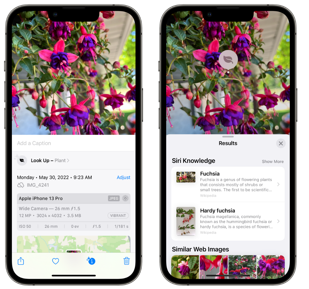 衡阳苹果手机维修分享小技巧：使用 iPhone 相机识别花卉植物 
