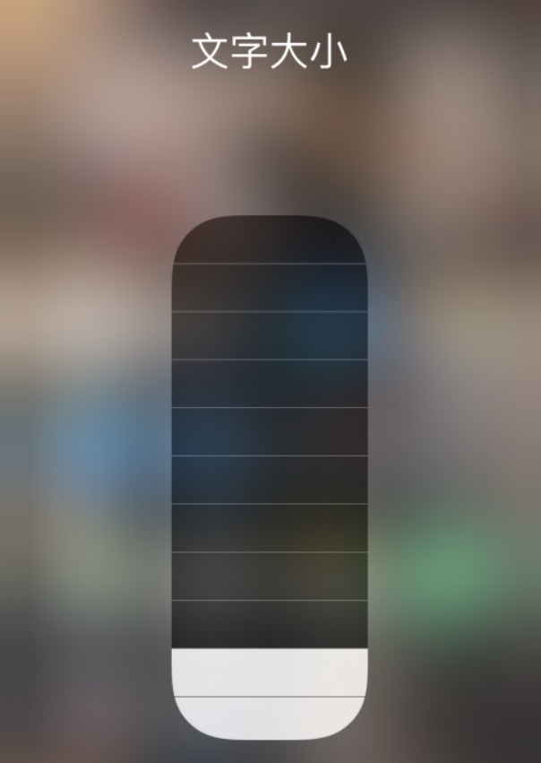衡阳苹果手机维修分享小技巧：在 iPhone 控制中心快速调节字体大小 