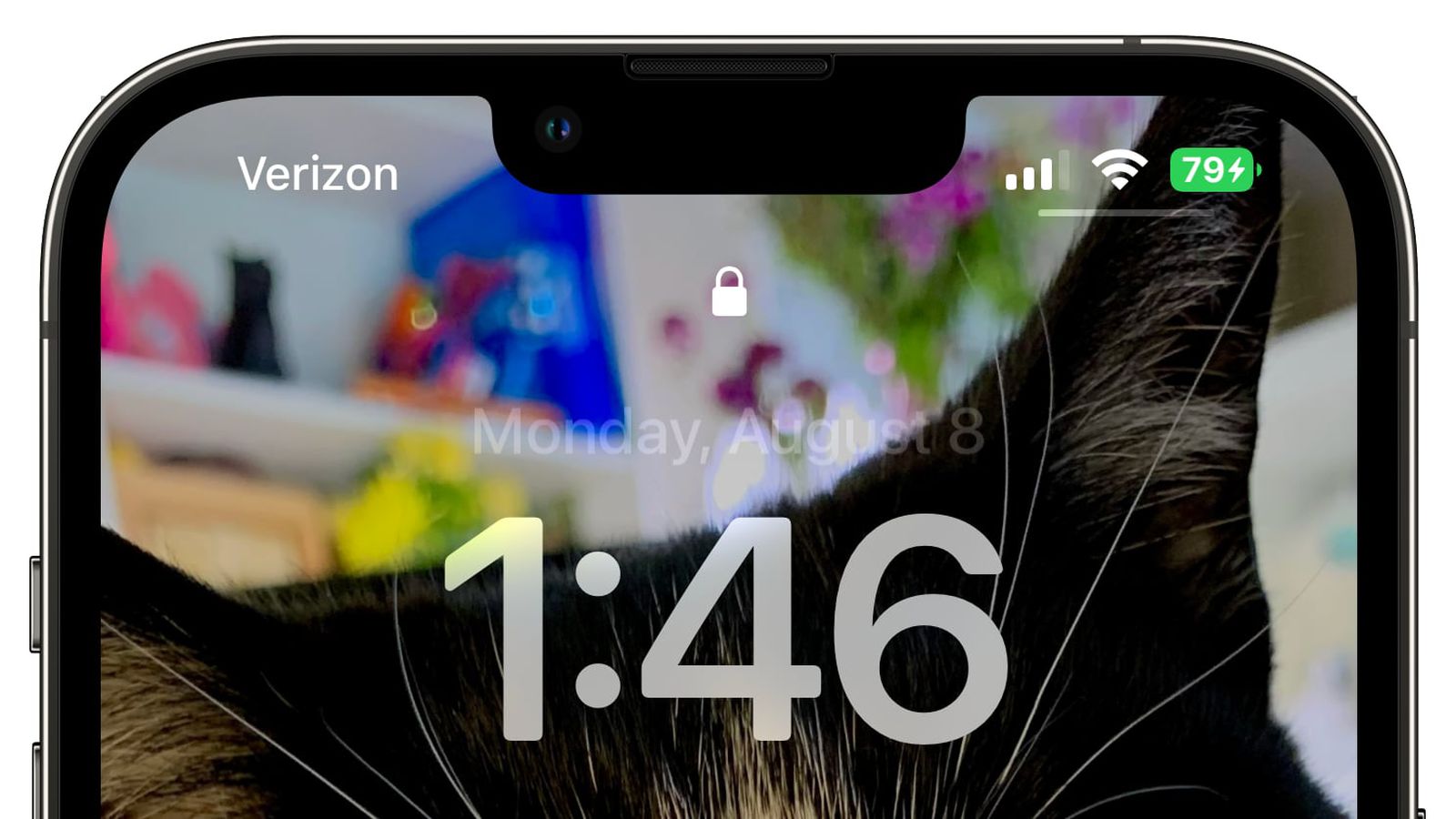 衡阳苹果手机维修分享iOS 16 beta 5 支持状态栏显示电池百分比，如何开启？支持哪些机型 