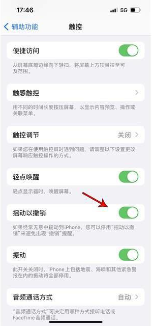 衡阳苹果手机维修分享iPhone手机如何设置摇一摇删除文字 