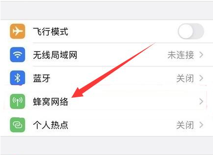 衡阳苹果手机维修分享iPhone手机4G网络怎么设置成5G网络 