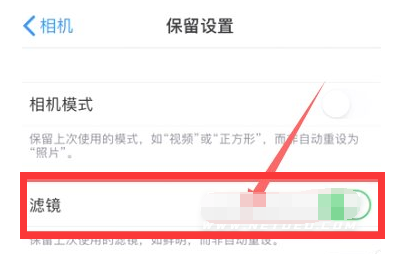 衡阳苹果13维修分享iPhone13拍照有绿点是怎么回事 