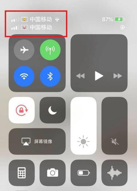 衡阳苹果手机维修分享为 iPhone 12 双卡设置标签 