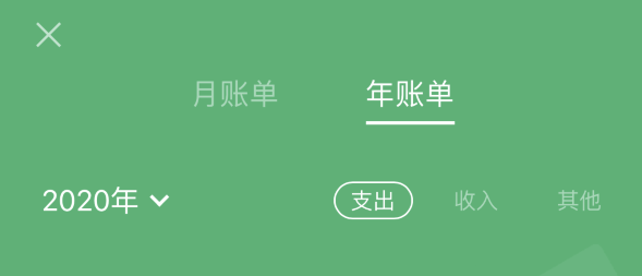 衡阳苹果手机维修分享如何在 iPhone 上查看支付宝和微信年支出账单 