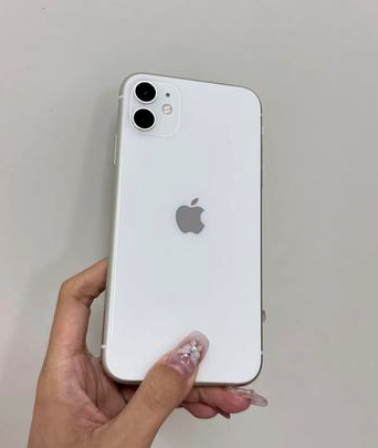 衡阳苹果维修点分享iPhone 11黑屏特殊场景解析 